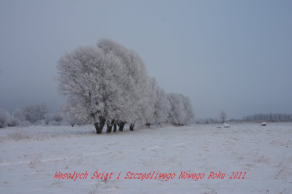 Wesołych Świąt i Szczęśliwego Nowego Roku 2011 by Marek Zdziechowski