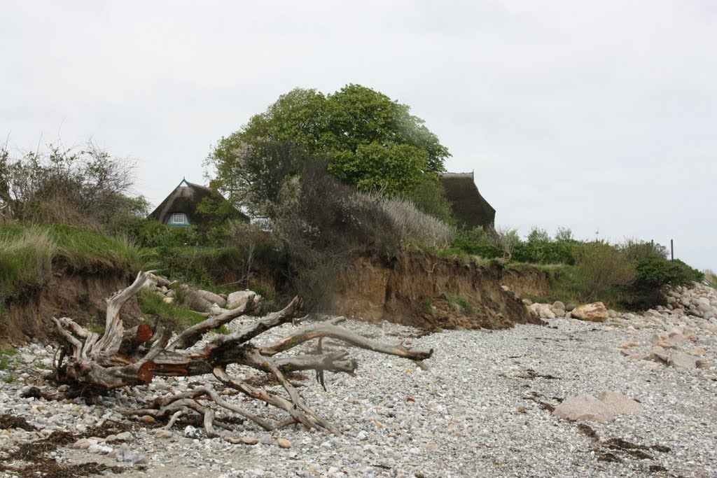 Bei Behrensdorf/Lippe an der Ostsee by heitabu50