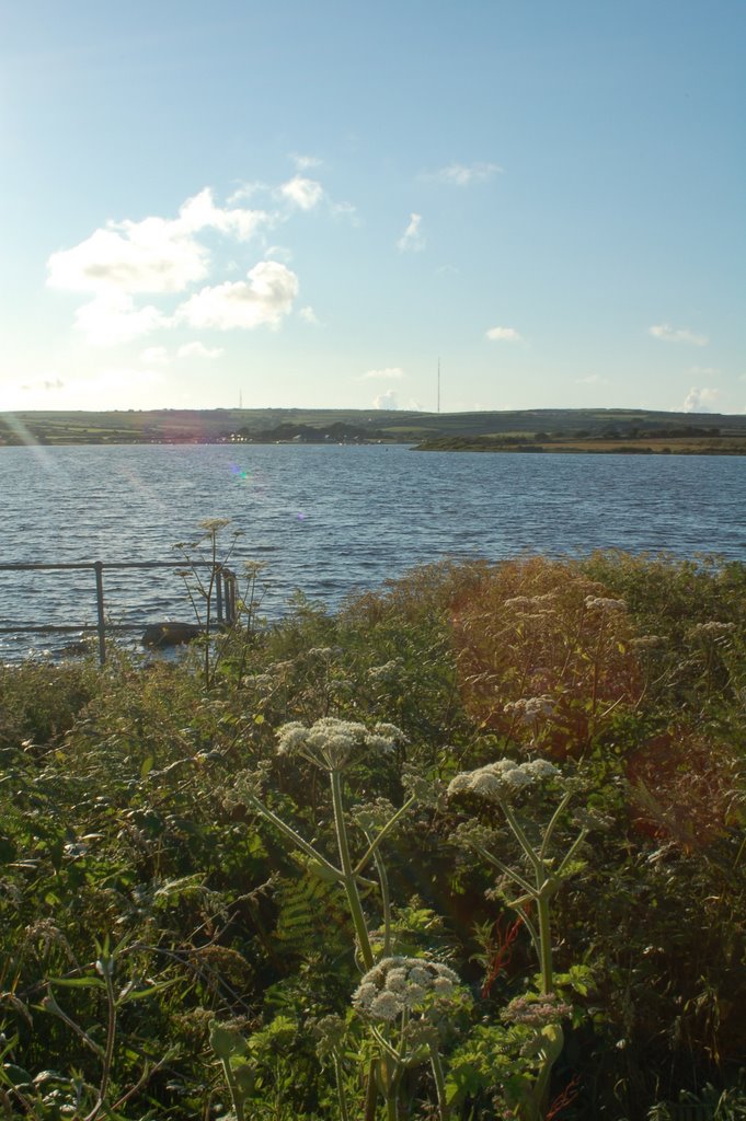 Stithians Lake by cjtruro