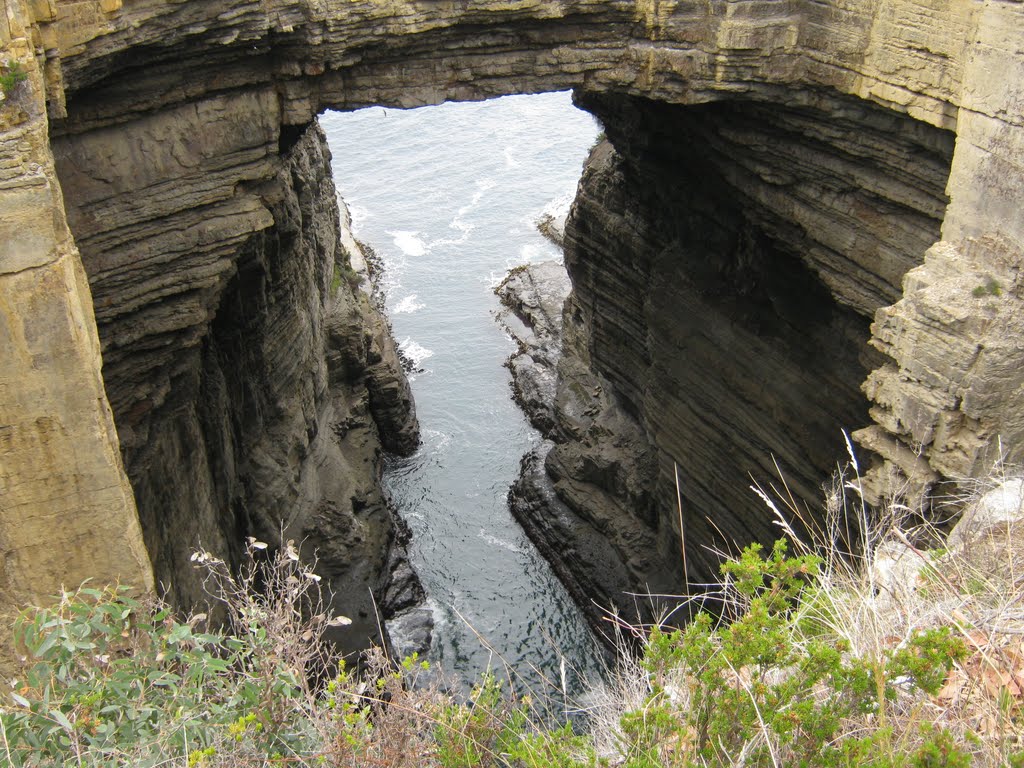 Tasman Arch by Lucas Chamberlain