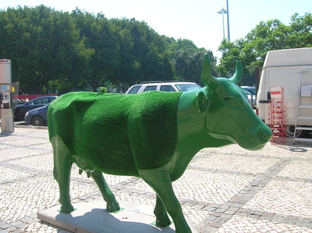 lisbon's cows by mickys