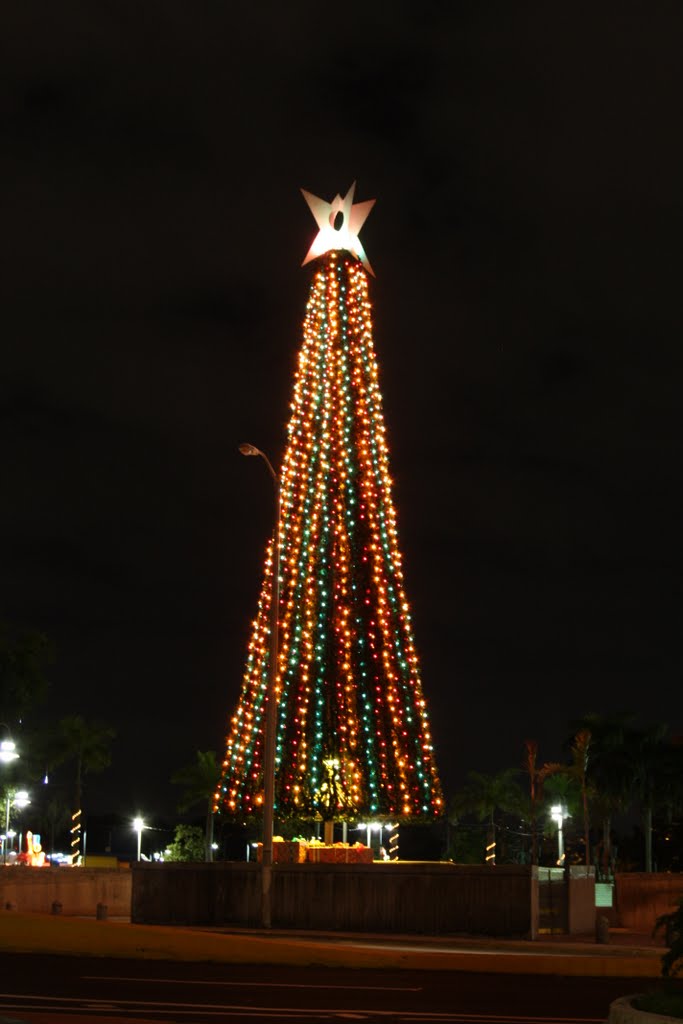 Navidad 2010-Parque Central-Bayamón by Ricardo David Jusino