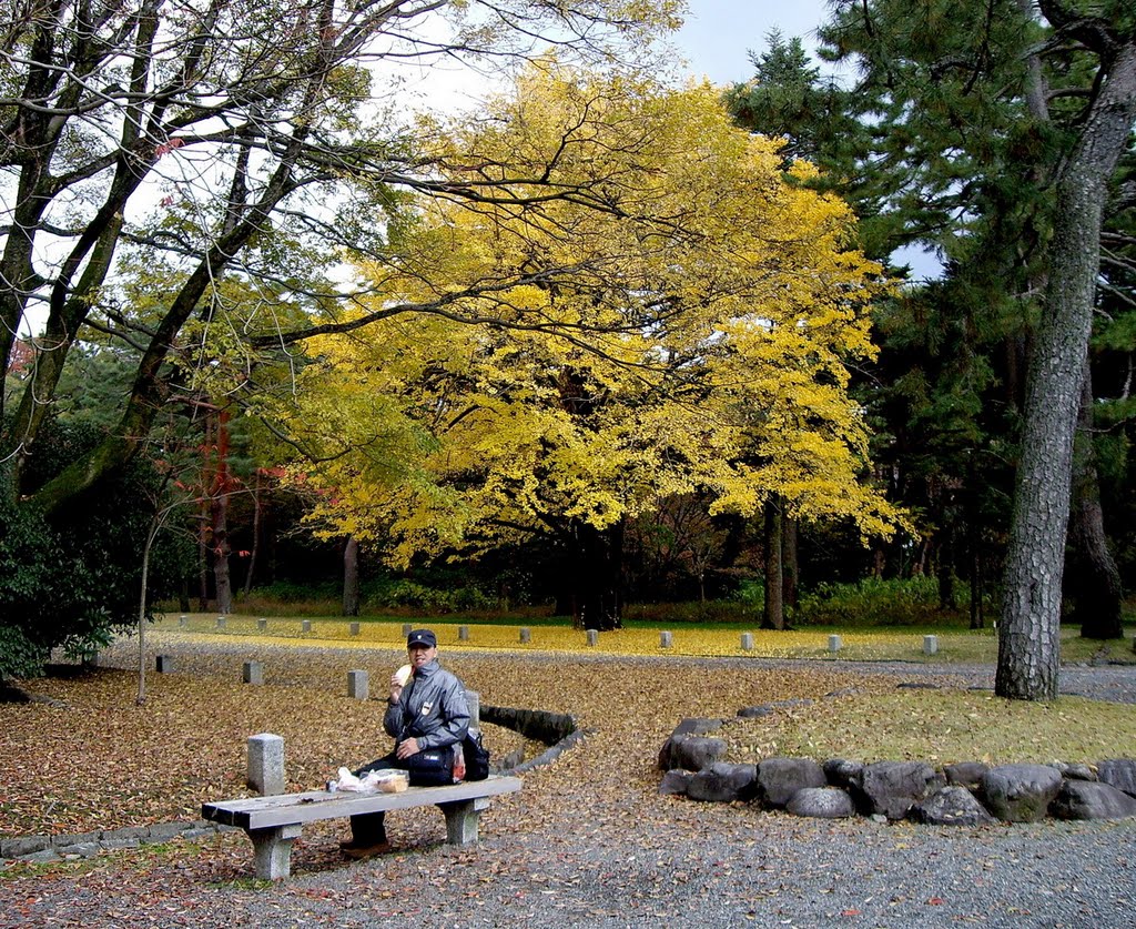 京都御苑 銀杏 秀色可佐餐 漆園童 Percy tai by Percy Tai  漆園童