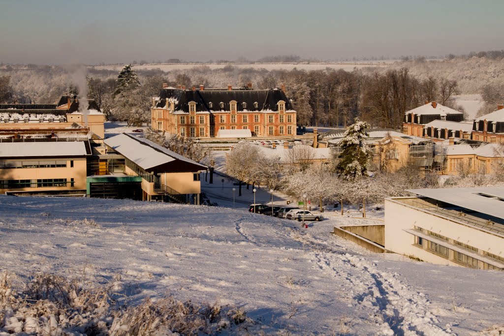 AgroParisTech sous la neige by laulobou