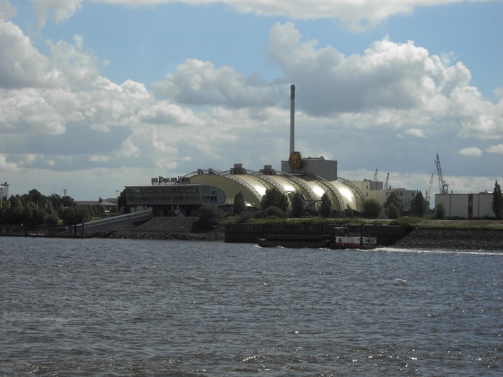 Hamburgo: Der Köning der Löwen; Teatro del Elba. by Rosaflor