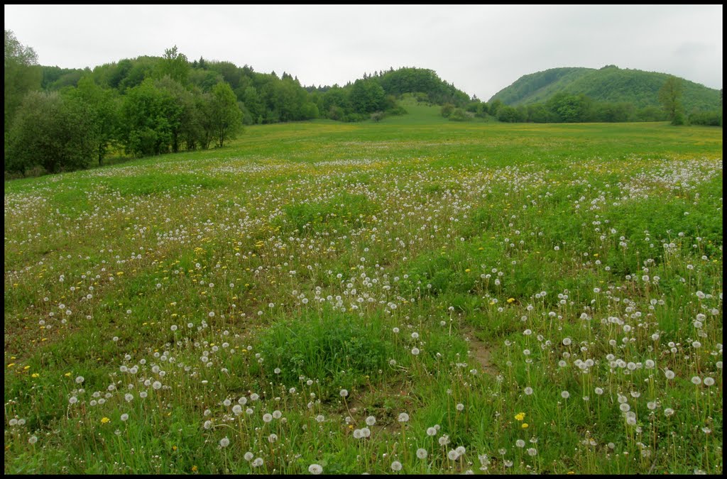 Nad obcou Podľavice. (r.2010/OlypmusSP560UZ) by Matej Rückschlos Petruf