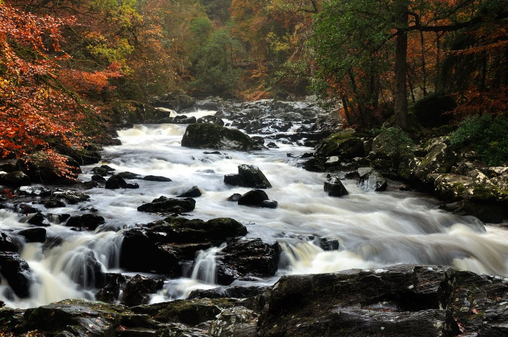 Black Linn Falls, Dunkeld by Colin Hughes