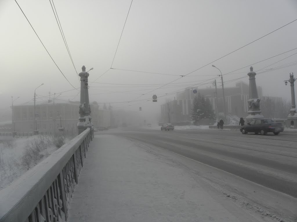 Kamenny bridge (-42 С) by Dmitry Shipulya