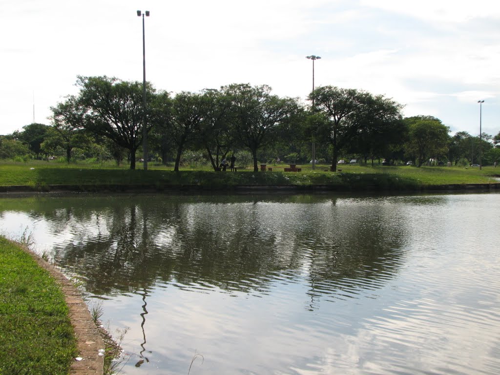 Espelho d'água do laguinho do Parque da Cidade - Brasília by pelosi