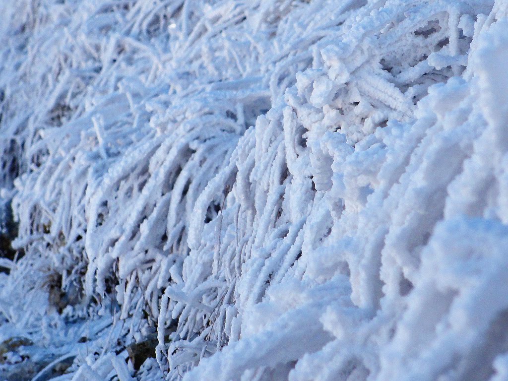 Snow in Snilovské sedlo by CarmelH