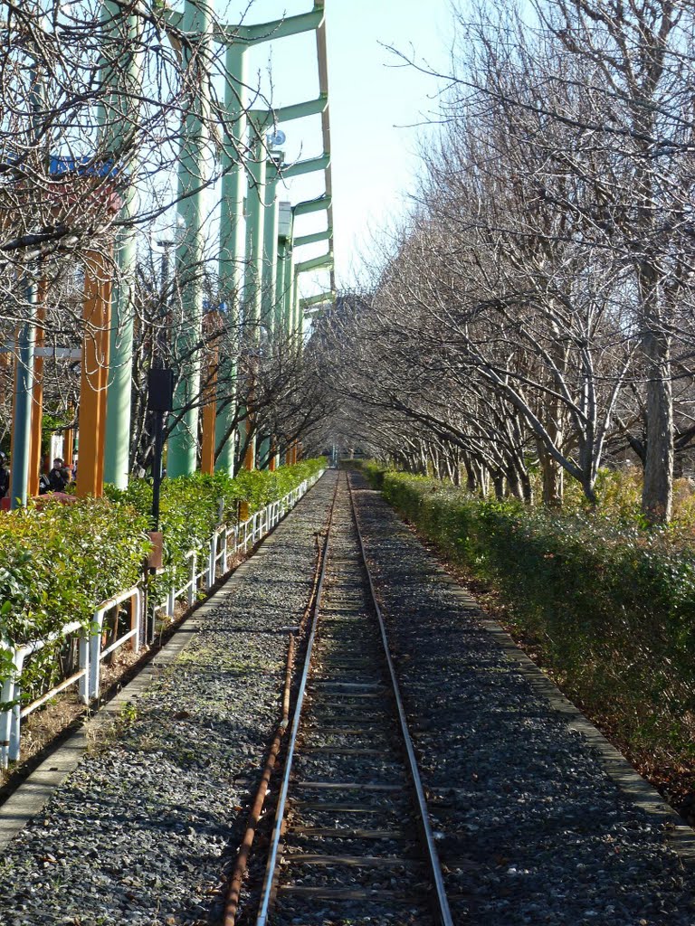 東武動物公園の「太陽の恵み鉄道パークライン」(埼玉県宮代町) (A railroad at Tobu Zoo, Miyashiro-machi, Saitama, Japan) by scarbo