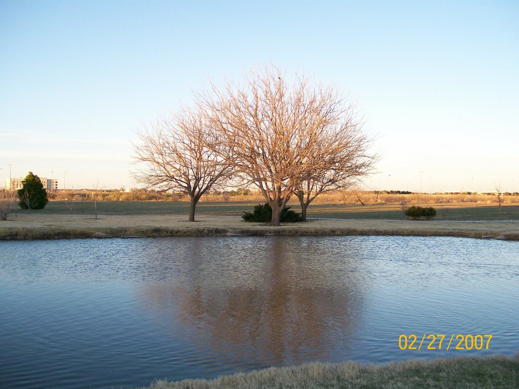 UTPB Duck Pond by sabrina9779