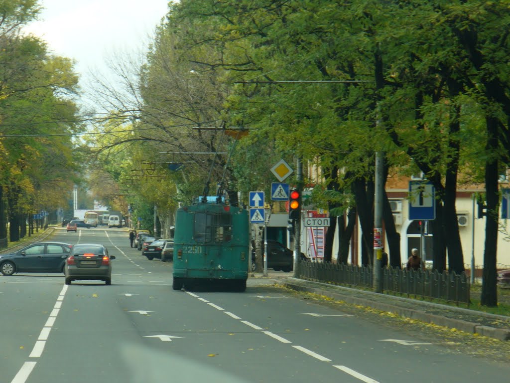 Kalinins'kyi district, Donetsk, Donetsk Oblast, Ukraine by Bogdan Smykov