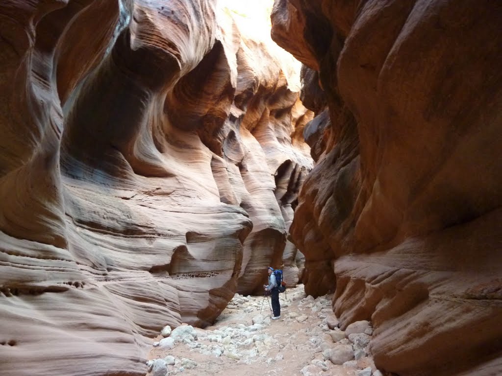 Buckskin wavy rocks by David Szmyd