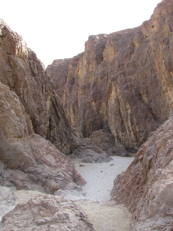 4835 Shehoret canyon, north of Eilat, Israel by ‫יוסף אבן כסף‬‎