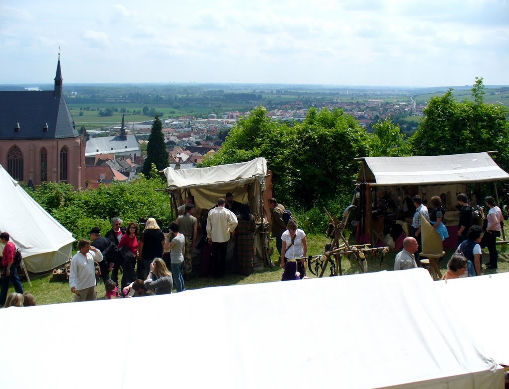 Oppenheim - Blick von der Burgruine (1220-1257) auf Oppenheim in südlicher Richtung by Thomas Eichler