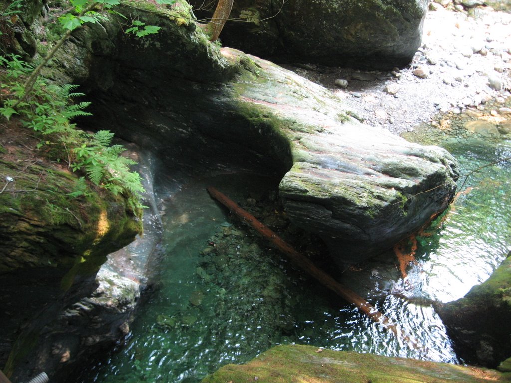 Texas Falls Pool by Chris Sanfino