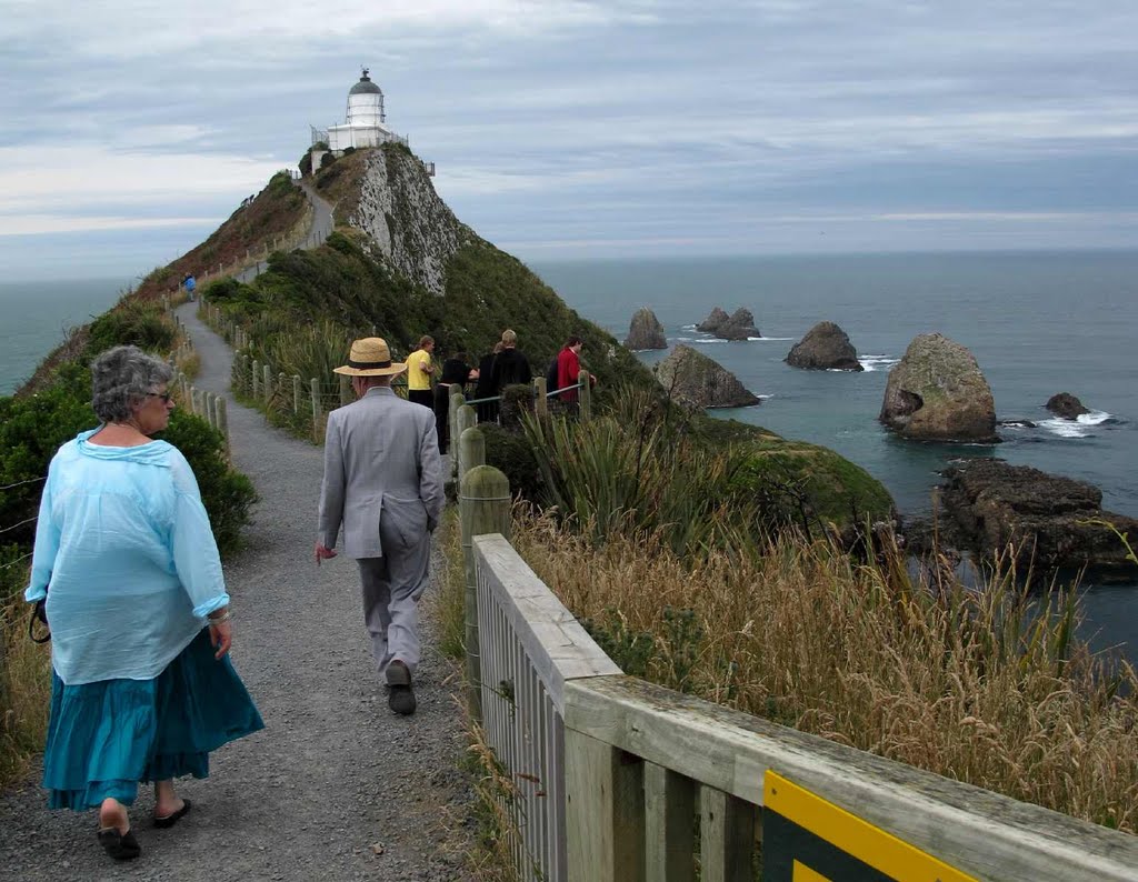 The oft-crowded Nugget Pt Lighthouse by NZ Frenzy Guidebook.…