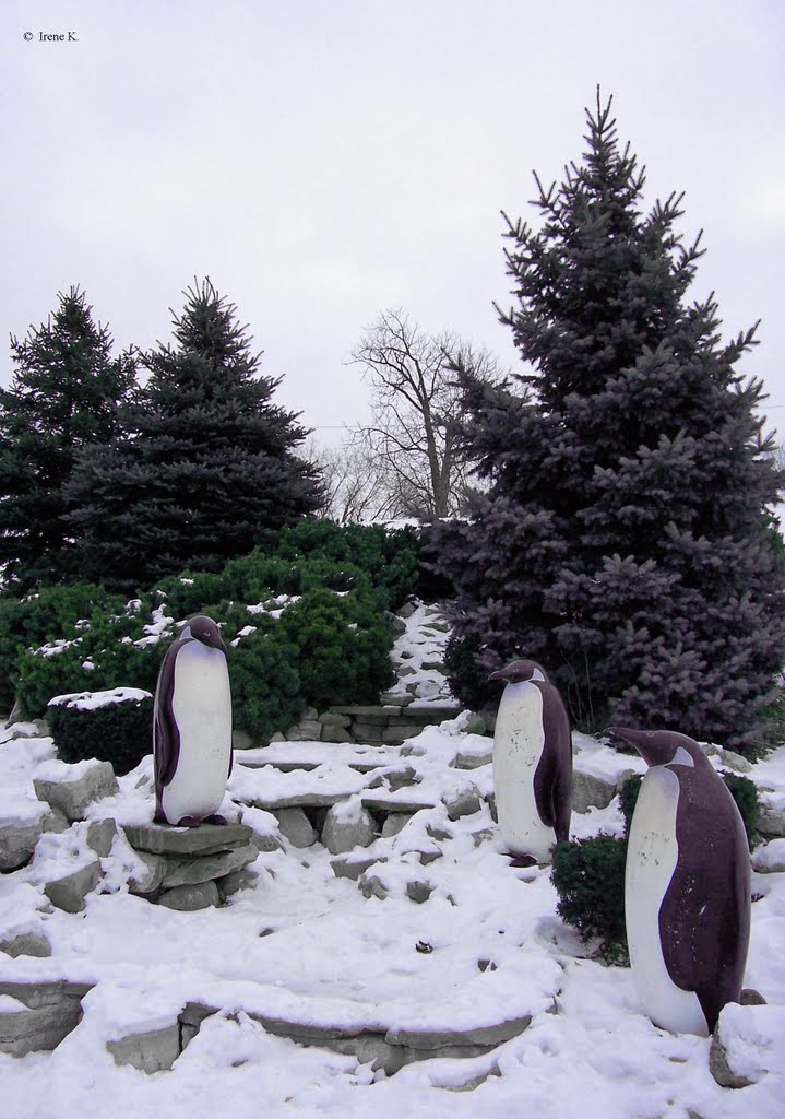 "Penguins on a Waterfall" by Yolanda Vandergaast - Odette Sculpture Park, Windsor, ON, Canada by Irene Kravchuk