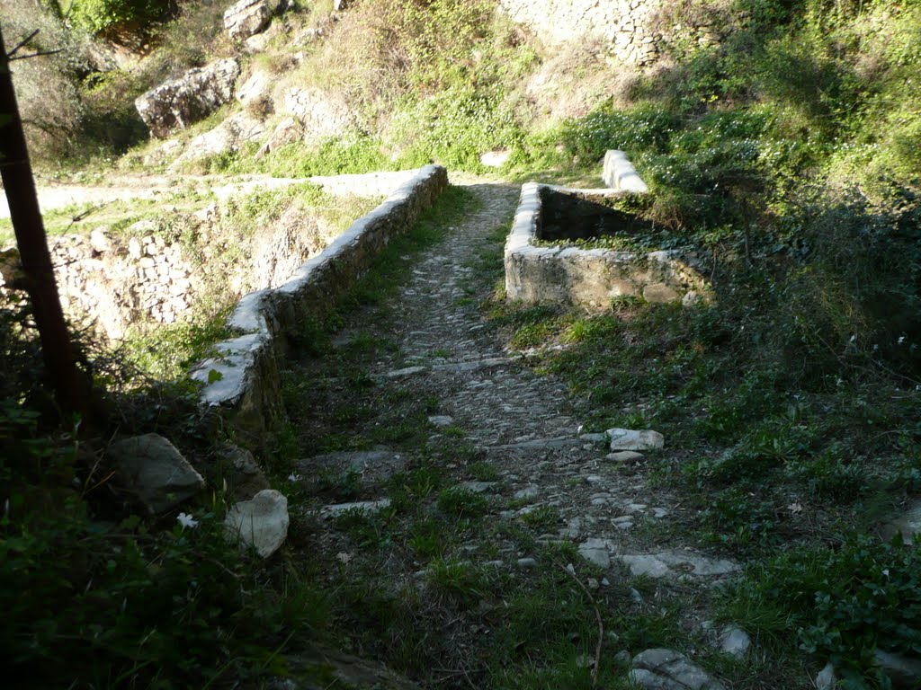 Castellaro - Ponte dei Salici m. 287 by giancamonty 42