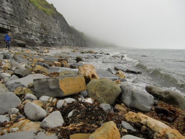 Lyme Regis by Stammesaeltester