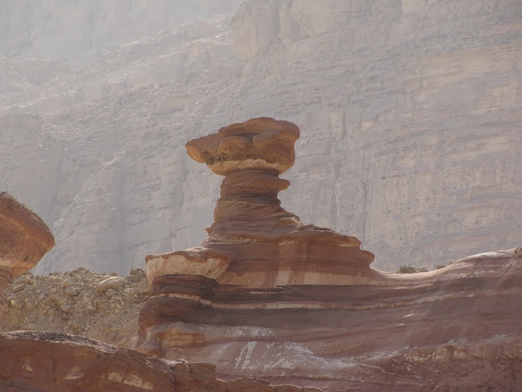 4924 The Mushroom, near Amram Pillars, North of Eilat, Israel by ‫יוסף אבן כסף‬‎