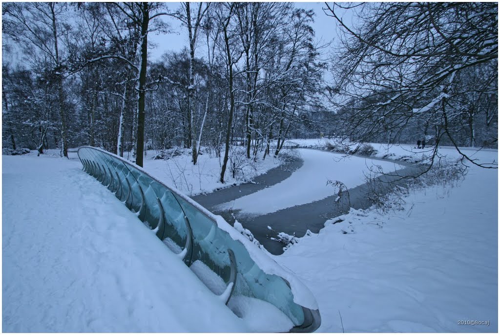 Rembrandtpark Amsterdam winter by Bocaj Nesnaj