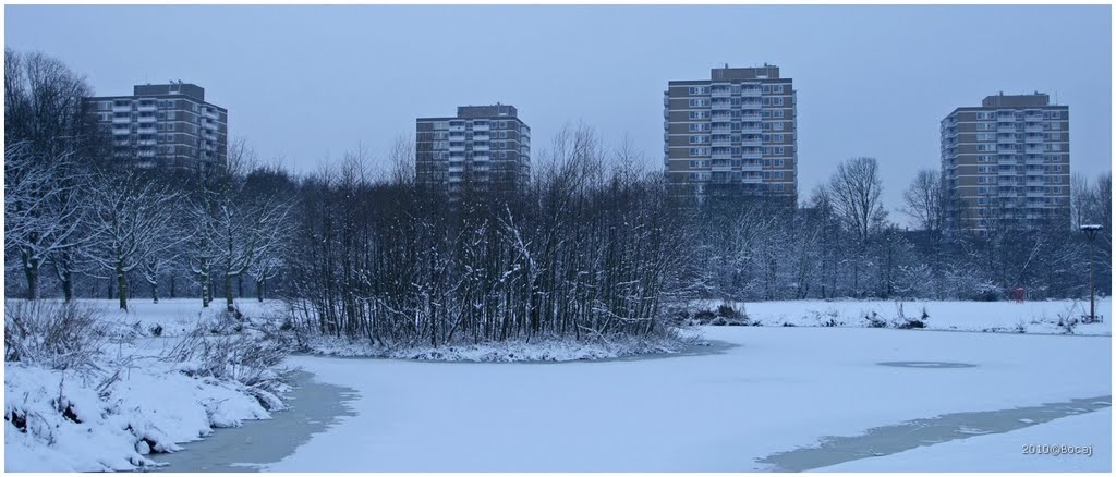 Rembrandtpark Amsterdam winter by Bocaj Nesnaj