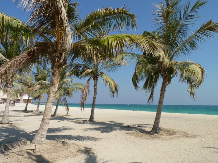 Kish Beach Palms By Mahdi Azad by MohammadMahdi Azad