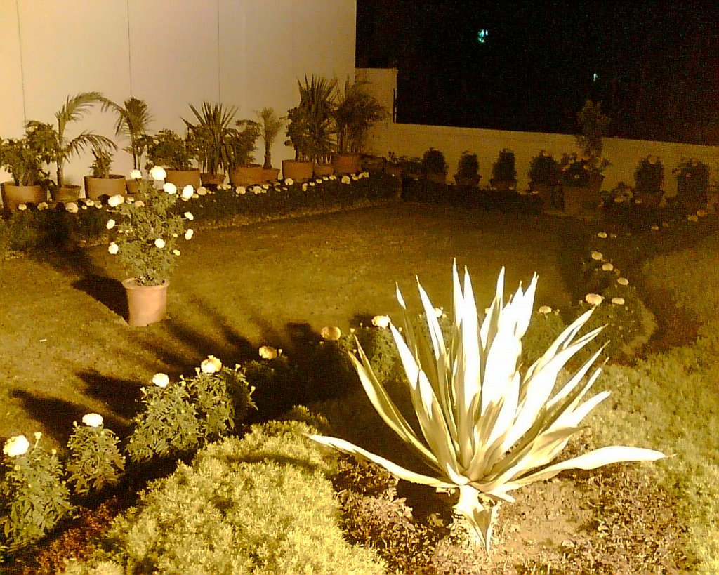 Alfalah Bank Garden by MHAQS