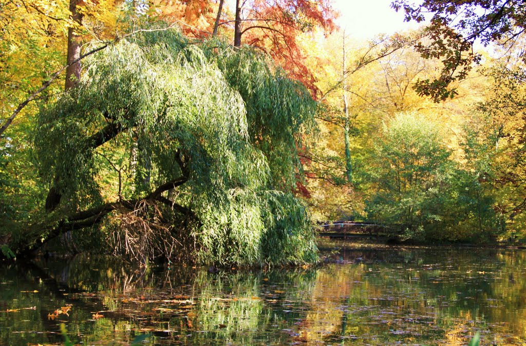 Herbst in den Langen Erlen by zentel