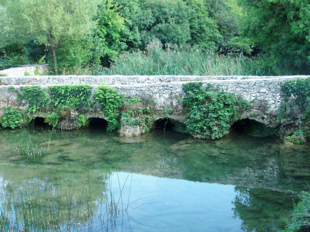 Puente Parque Nacional KRKA(Croacia) by Epi F.Villanueva