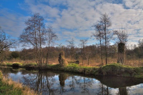 Nette an der Leuther Mühle by Peter Czadek