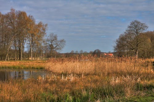 De Witt See by Peter Czadek