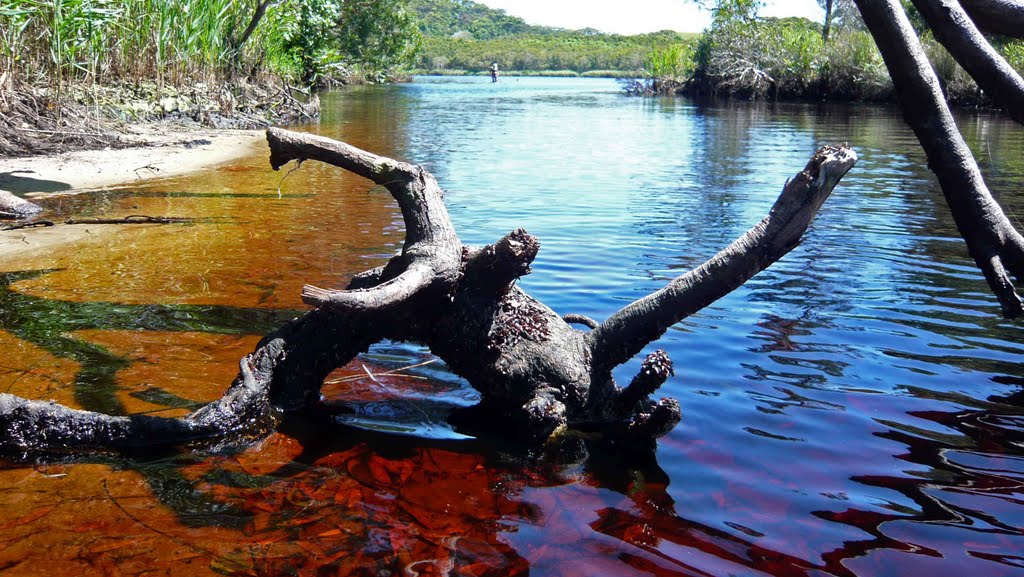 Tea Tree Lake by cameramanian