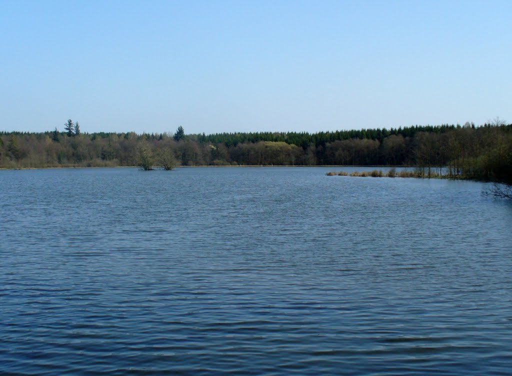 Grebenhain Crainfeld - Der Rothenbachteich an der L3181 bietet vielen Vögeln Schutz und lädt zum Verweilen ein by Thomas Eichler