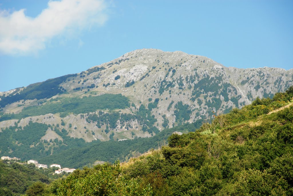 MONTE COCUZZO (FOTO DA LOCALITA' SANTA RITA) by Antonino Andreotti