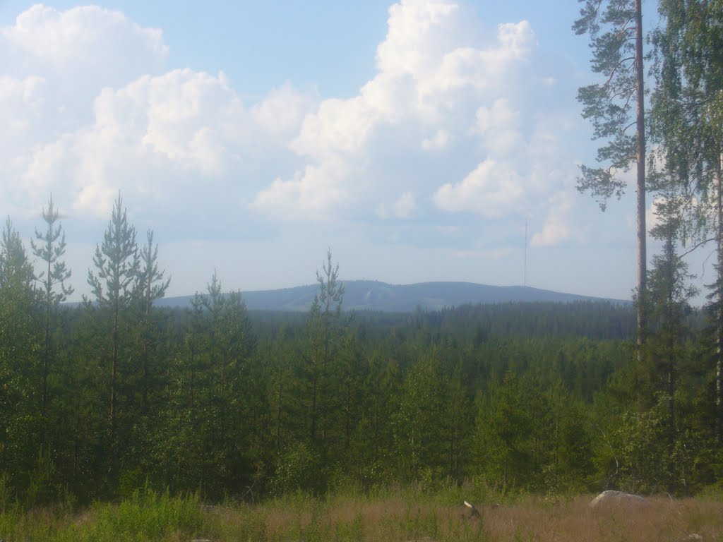 Far ahead: summit of Vuokatti hill (Sotkamo, 20070704) by RainoL