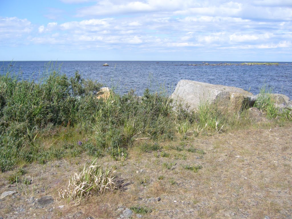 Seashore in Yttre Långskat, Björköby village, Raippaluoto island, 20060704 by RainoL