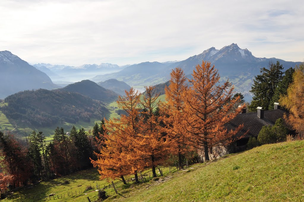 Couleurs d'automne Bürgenstock by vernier