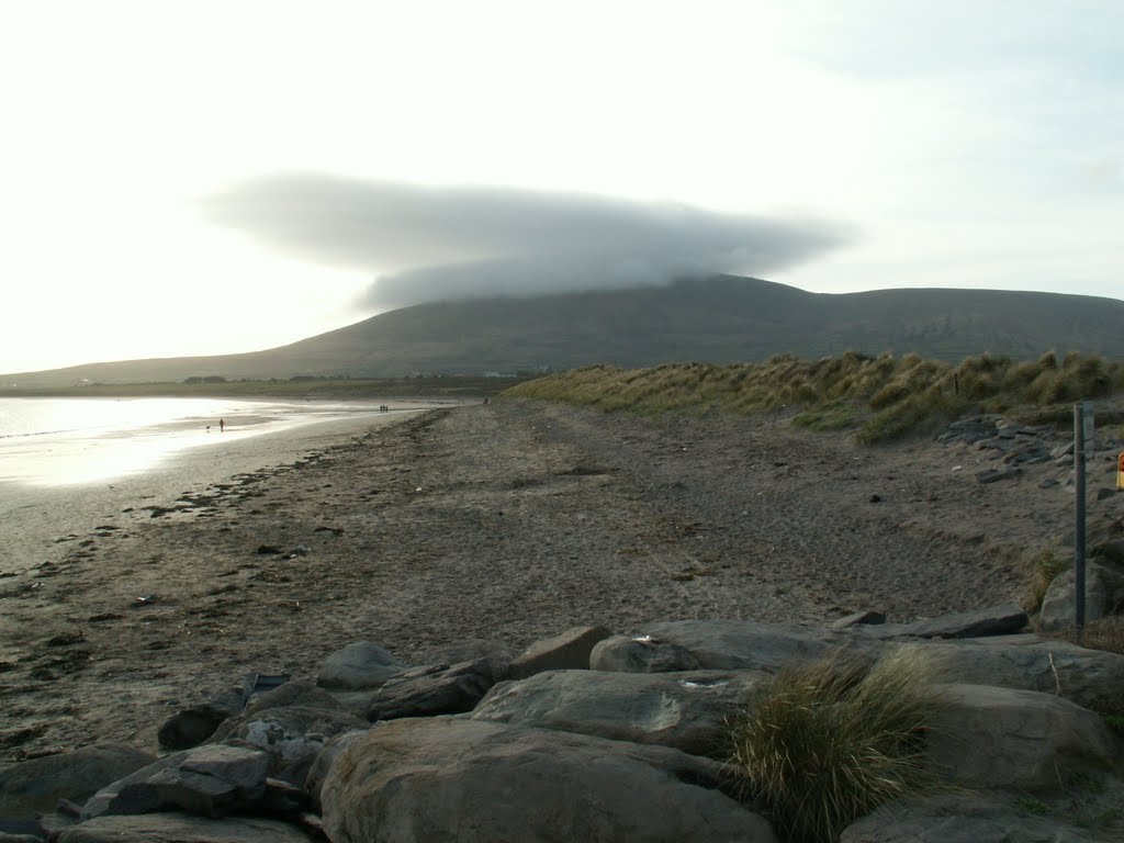 IRLANDIA by Piotr BONO