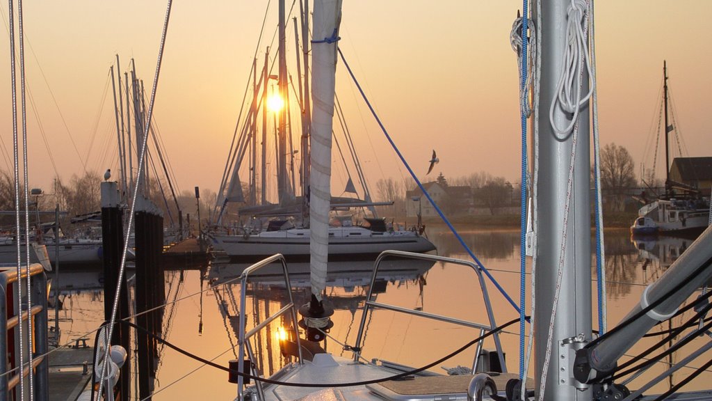 Morning at Greifswald harbour by @amon