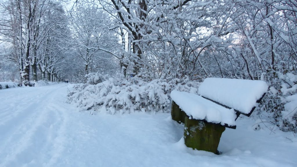 Trier in the Snow - Take a Seat by TerryHD2