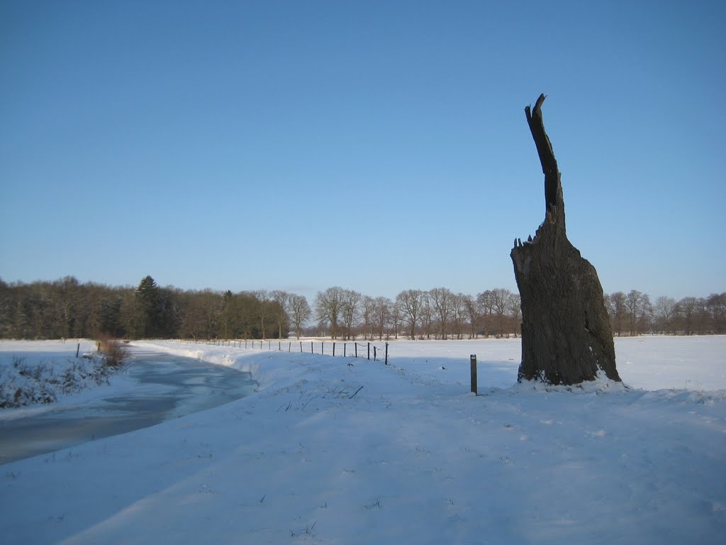 Oosterhesselen - Boom getroffen door bliksem - Tree hit by lightning by ©JPix