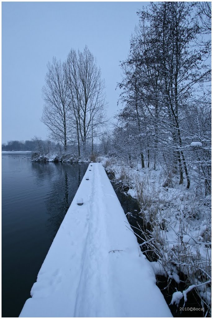 Haarlemmermeerse bos winter by Bocaj Nesnaj