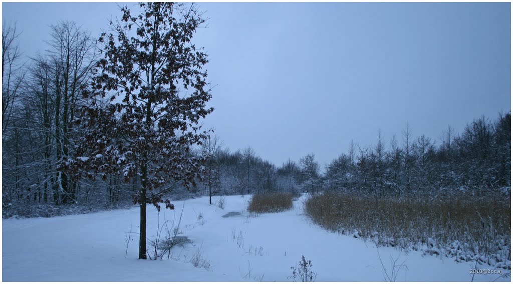 Haarlemmermeerse bos winter by B47