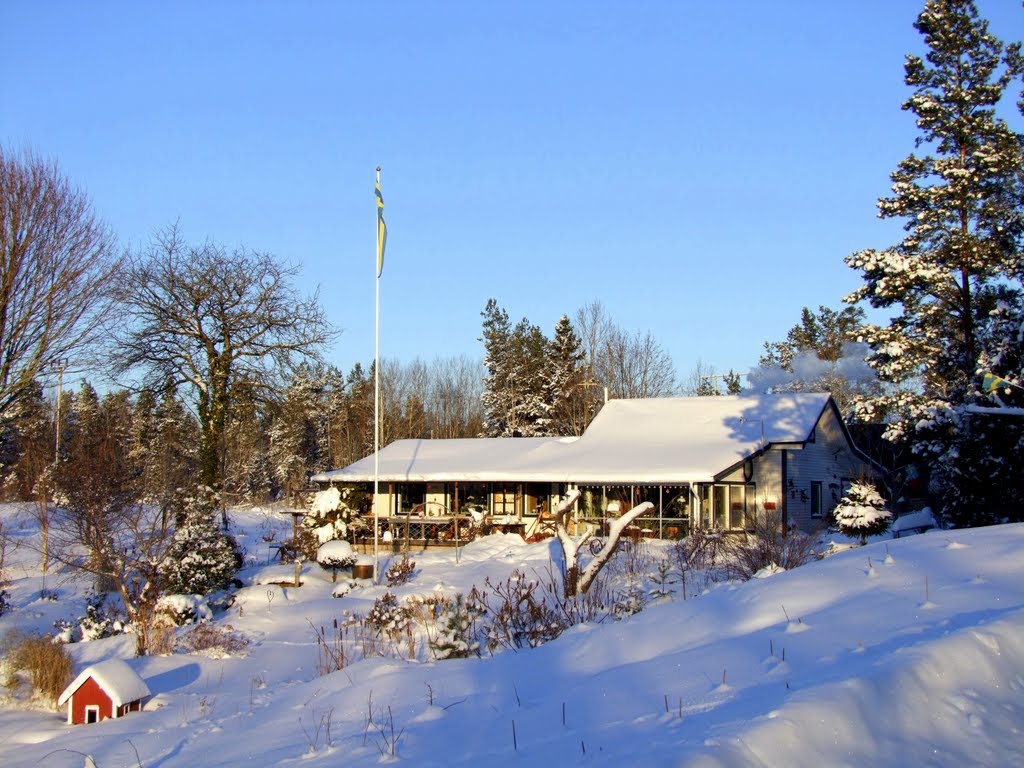 Hästhagen, Christmas Day 2010. by Leif Fielstrup Guldb…