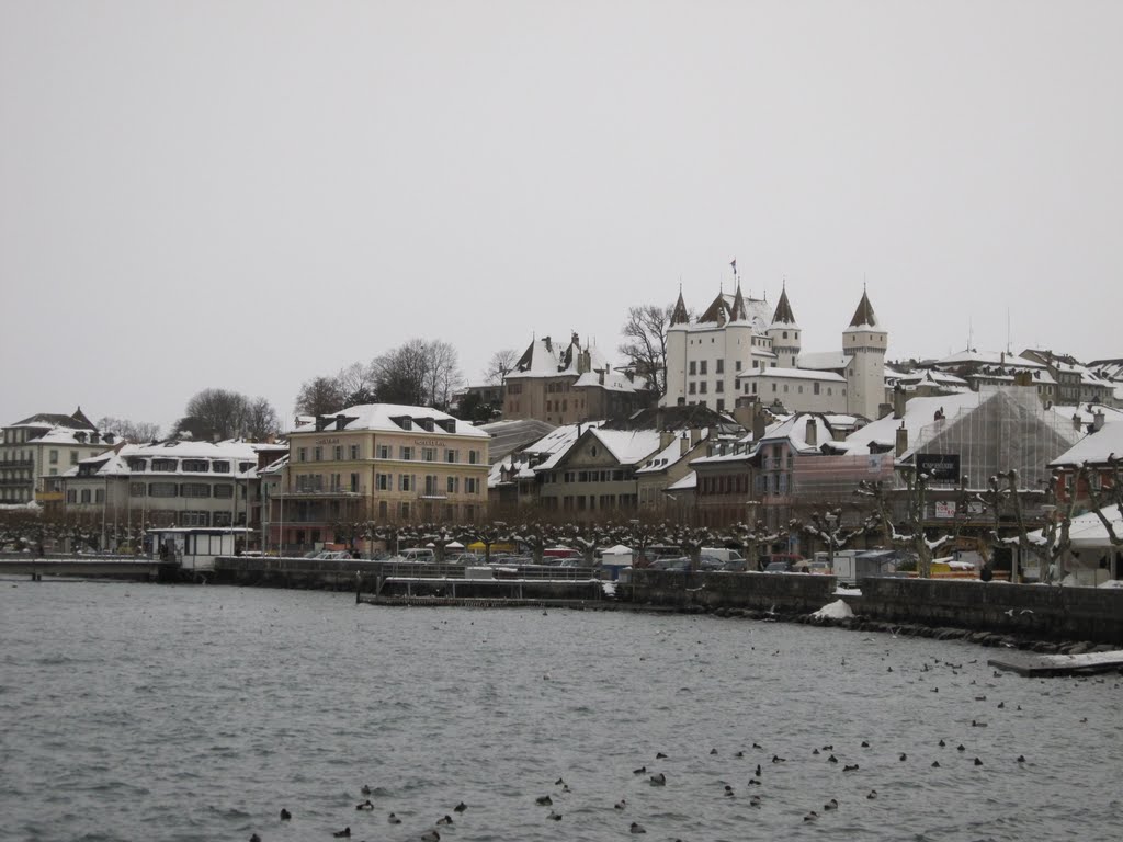 Vieille ville de Nyon et son château by tayat07