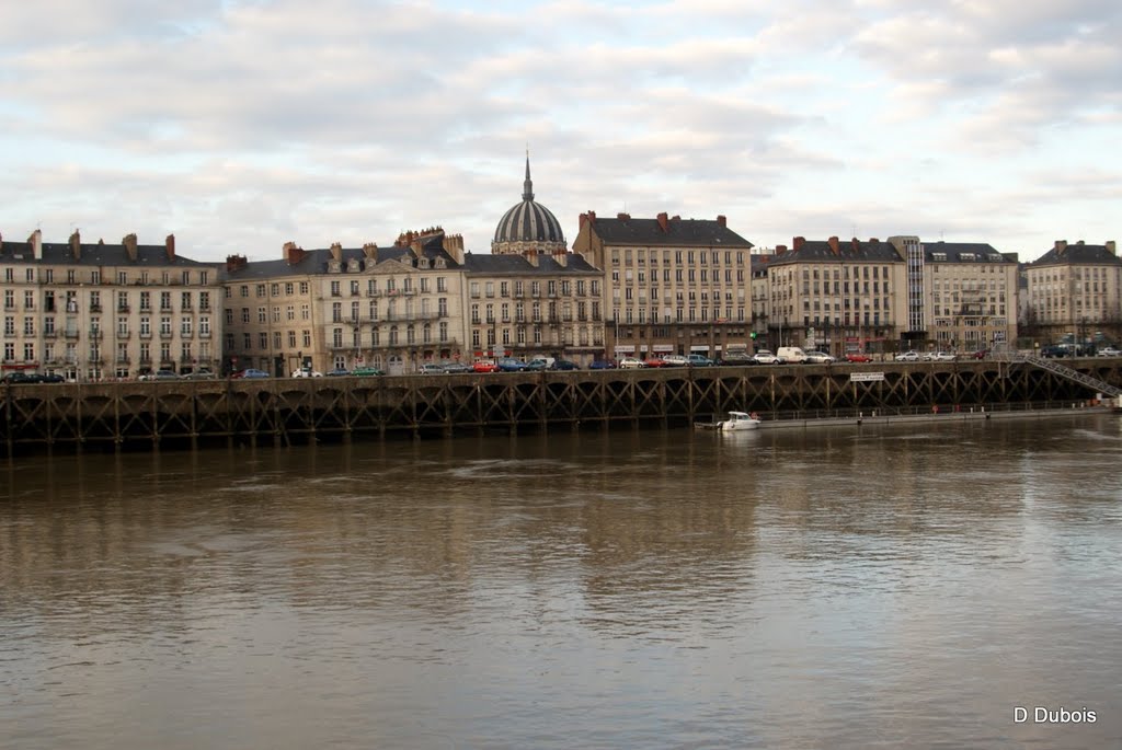 Le quai de la fosse Nantes by Dubois dominique