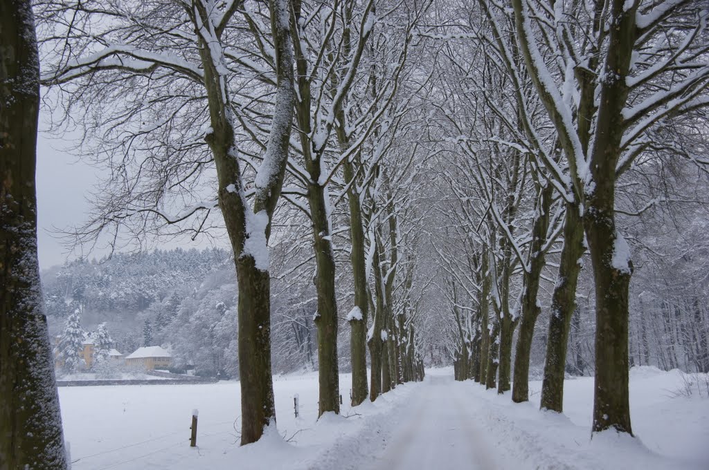 Im Schnee nach Strauweiler by Hausmaus